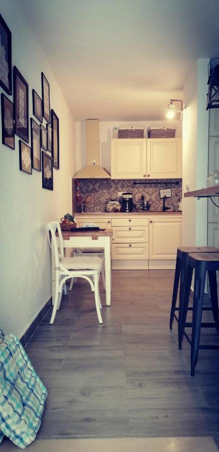 Liza's Downtown Apartament